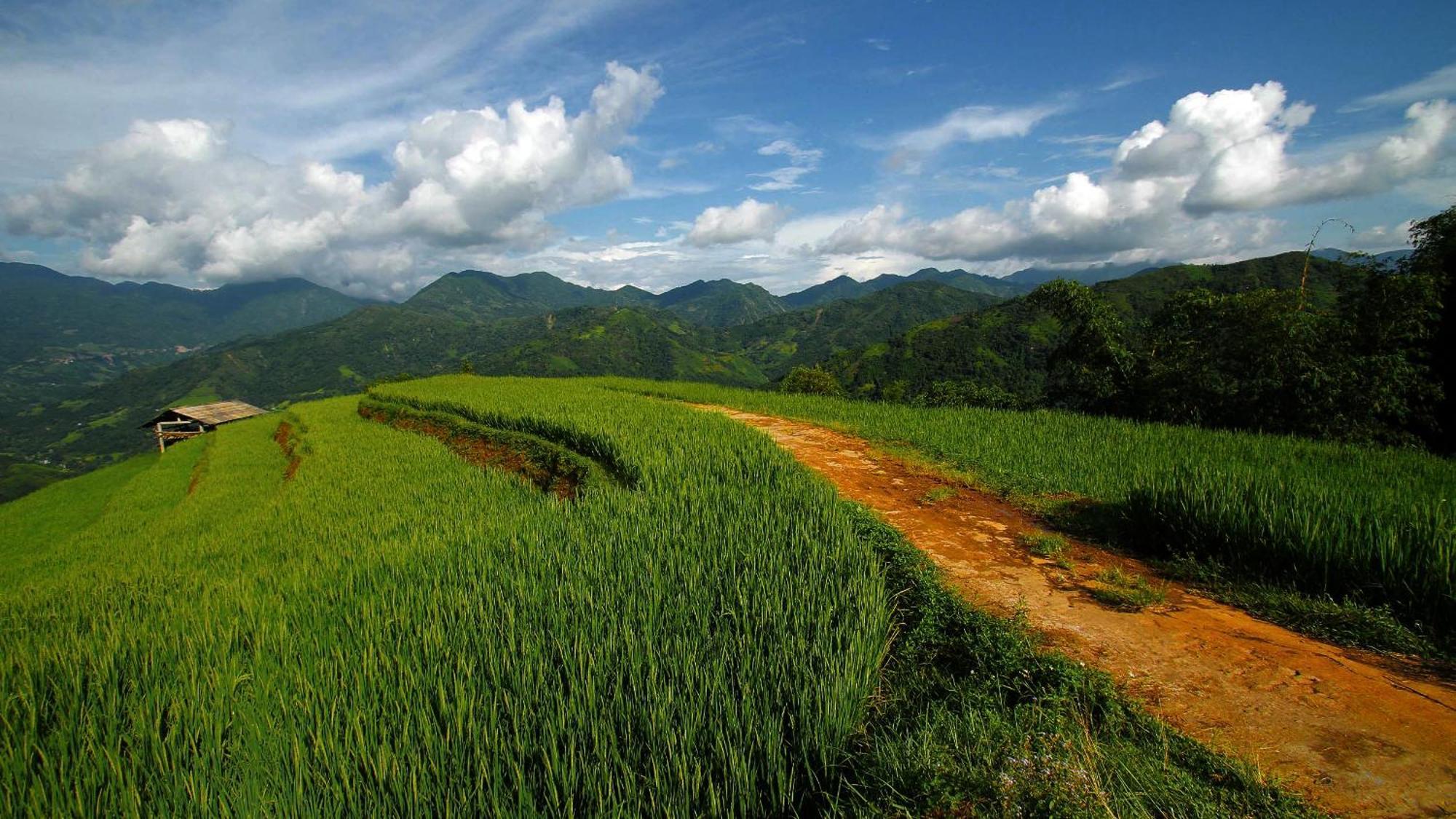 Hoang Su Phi - Mong Ngua Homestay Hà Giang Ngoại thất bức ảnh