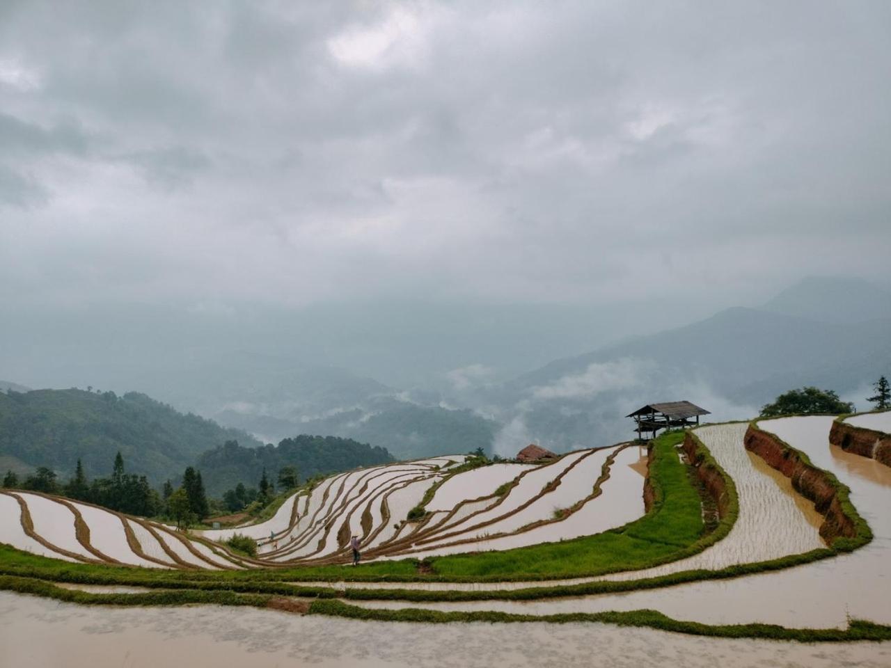 Hoang Su Phi - Mong Ngua Homestay Hà Giang Ngoại thất bức ảnh