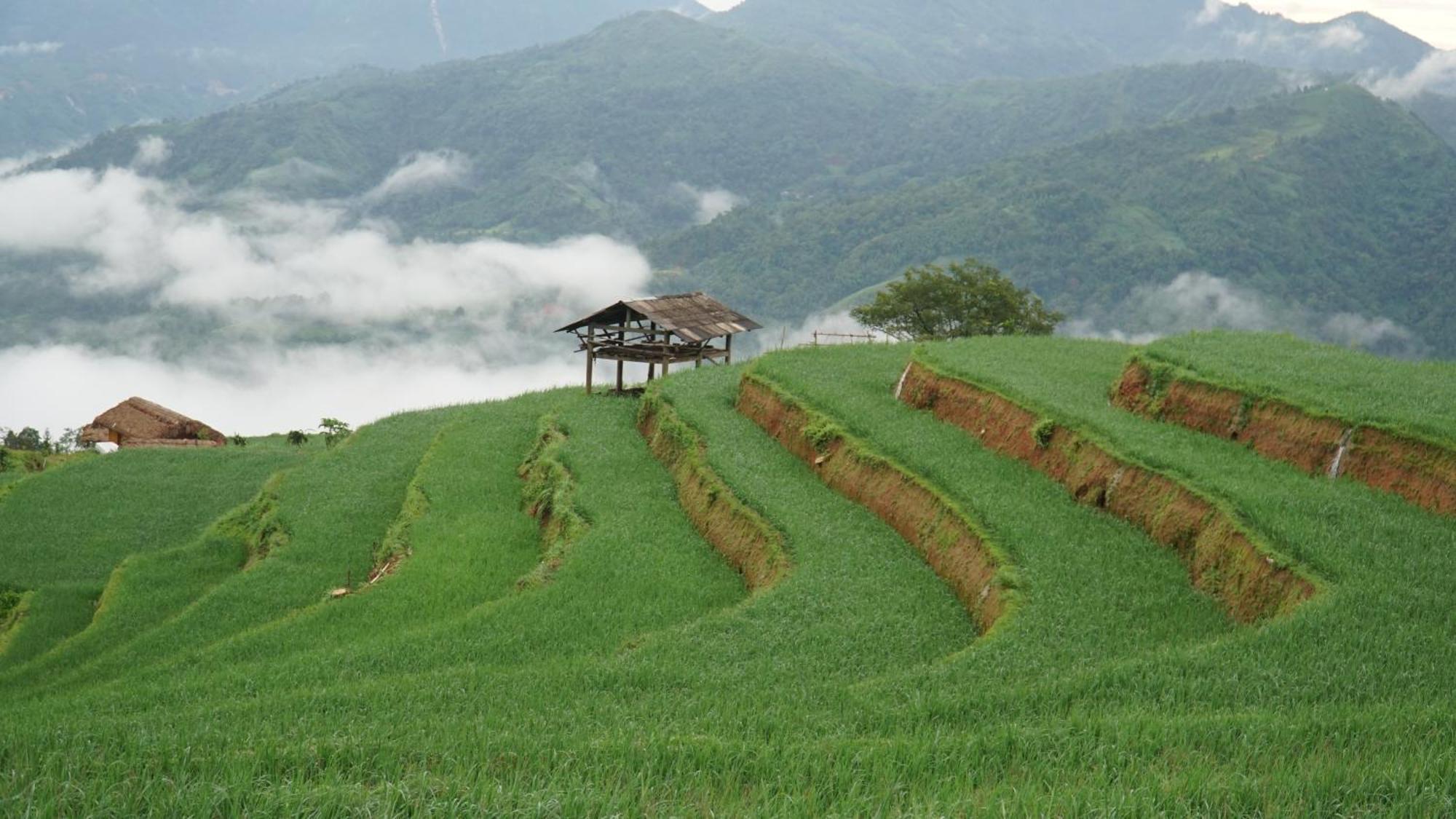 Hoang Su Phi - Mong Ngua Homestay Hà Giang Ngoại thất bức ảnh