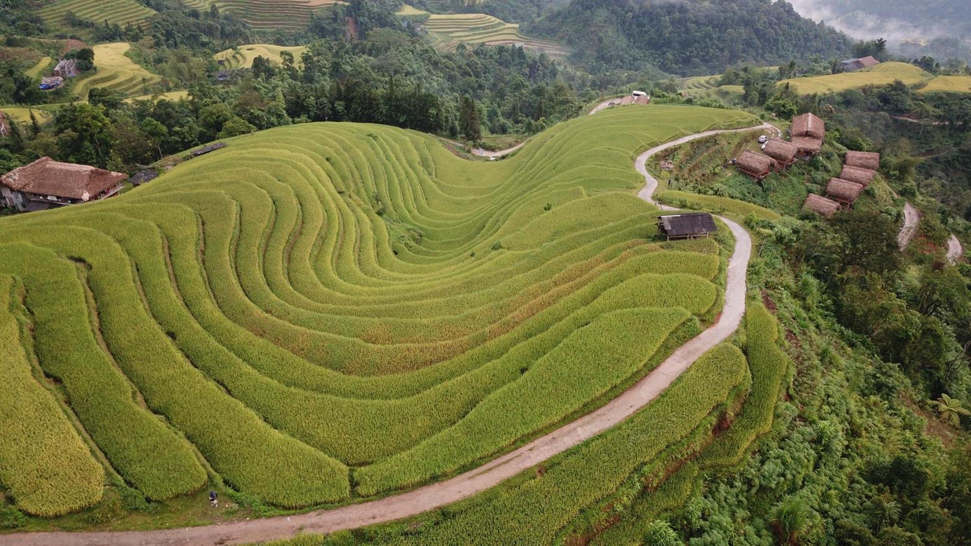 Hoang Su Phi - Mong Ngua Homestay Hà Giang Ngoại thất bức ảnh