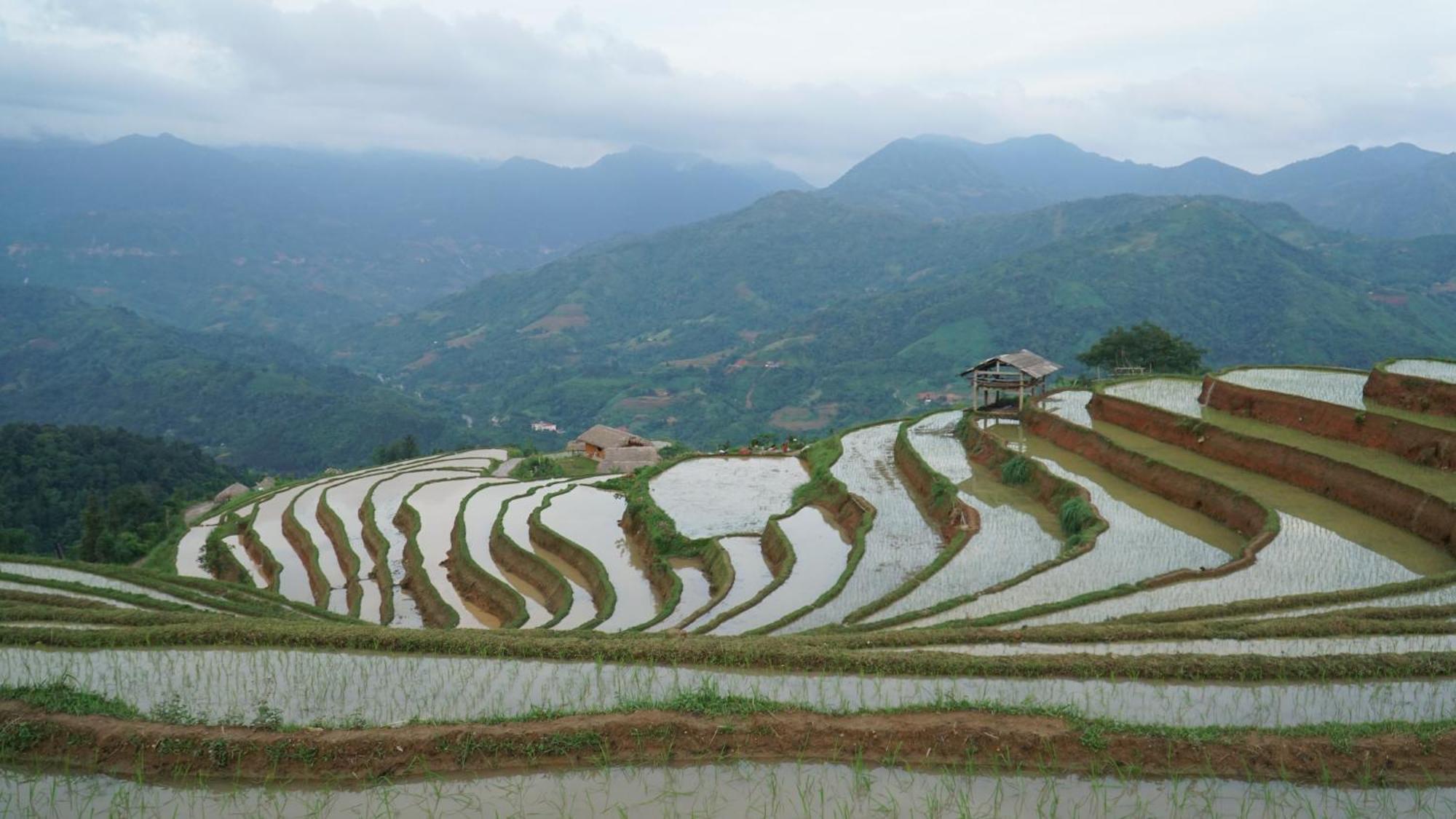 Hoang Su Phi - Mong Ngua Homestay Hà Giang Ngoại thất bức ảnh