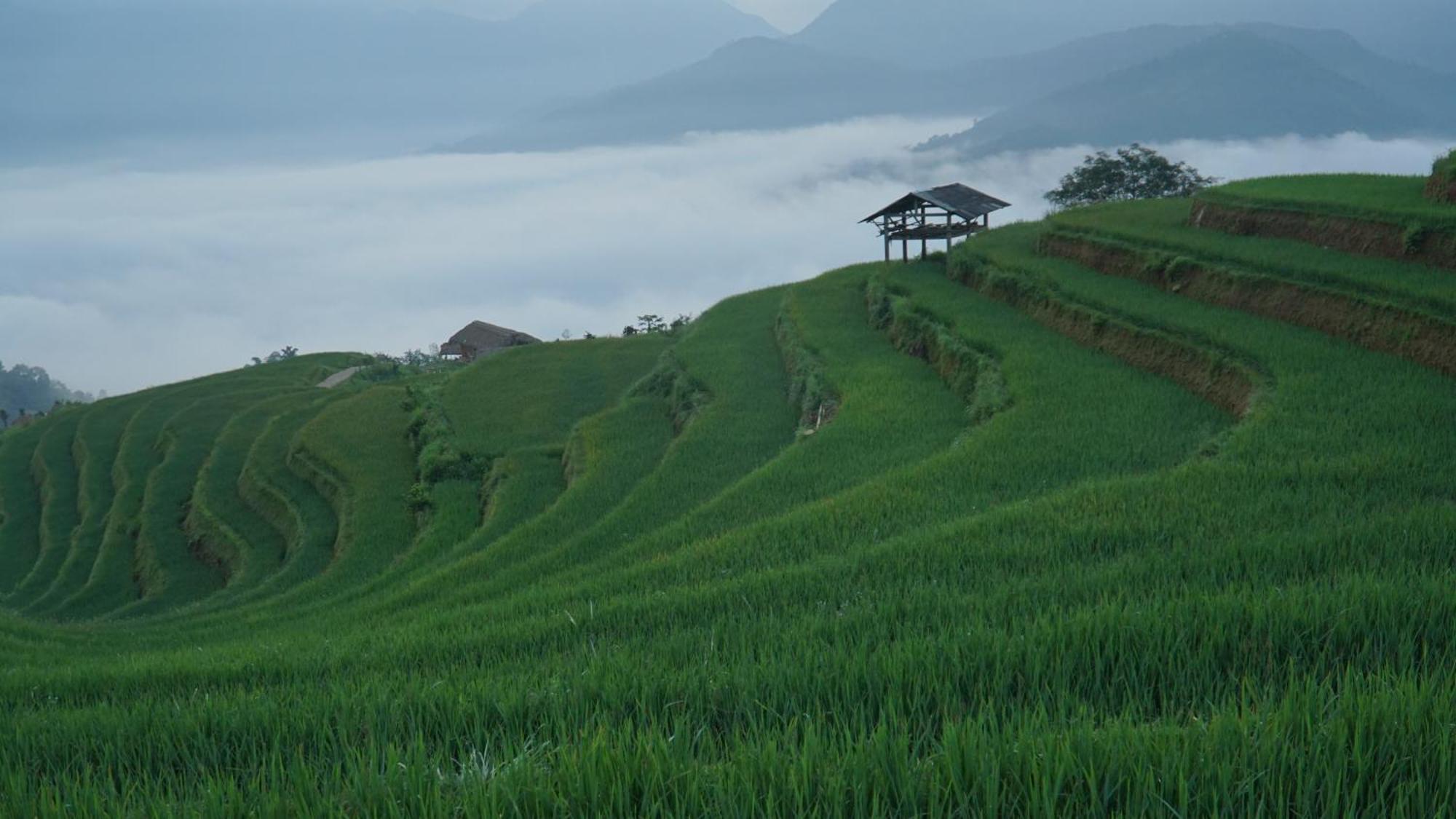 Hoang Su Phi - Mong Ngua Homestay Hà Giang Ngoại thất bức ảnh