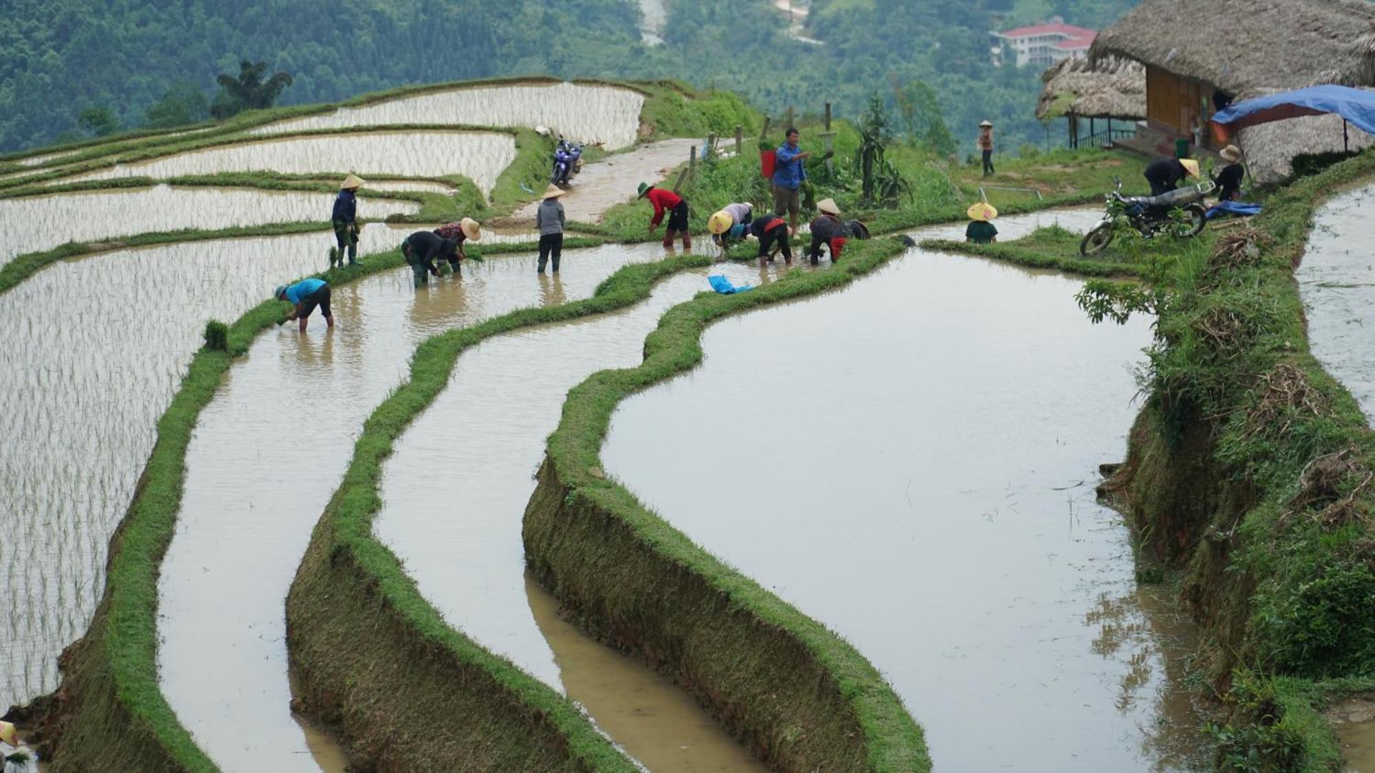Hoang Su Phi - Mong Ngua Homestay Hà Giang Ngoại thất bức ảnh