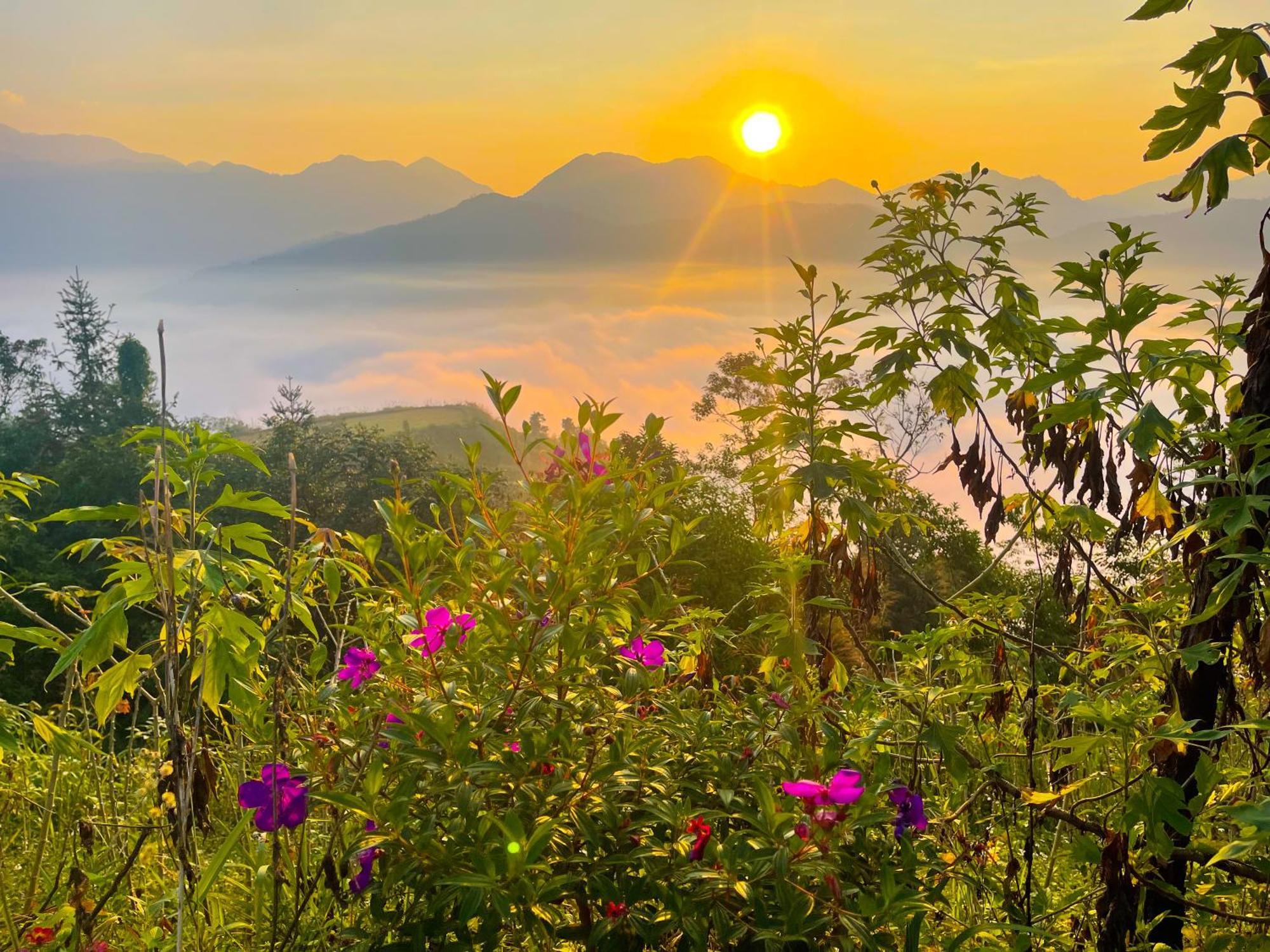 Hoang Su Phi - Mong Ngua Homestay Hà Giang Ngoại thất bức ảnh